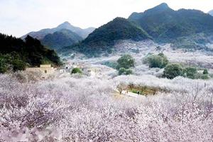 廣東汕尾陸河旅遊攻略-陸河縣景點排行榜