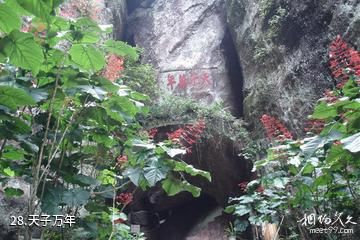 江西汉仙岩风景区-天子万年照片