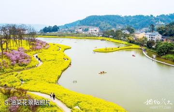 重慶巴南天坪山雲林天鄉景區-油菜花照片