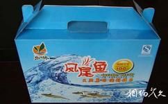 江蘇永豐林農業生態園旅遊攻略之鳳尾魚