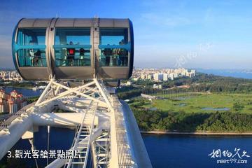 新加坡摩天輪-觀光客艙照片