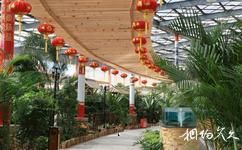 北京漁陽國際滑雪場旅遊攻略之綠色生態餐廳