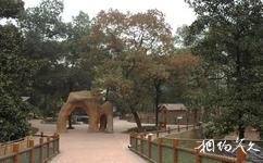 重庆动物园旅游攻略之可爱动物区