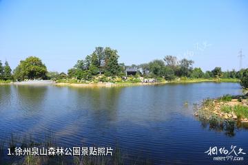 徐州泉山森林公園照片