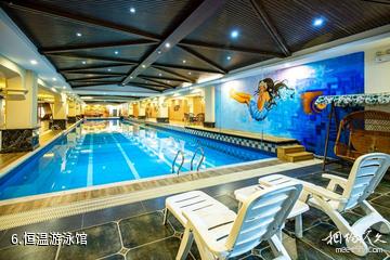 吐鲁番火山红酒庄-恒温游泳馆照片