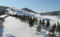 北京渔阳国际滑雪场旅游攻略之单板公园