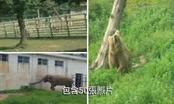 西安秦嶺野生動物園驢友相冊