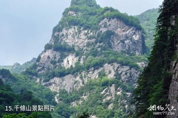 寶雞太白青峰峽森林公園-千條山照片