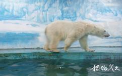 長春動植物公園旅遊攻略之極地動物館