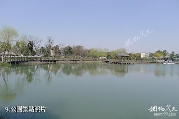 蘇州中國花卉植物園-公園照片