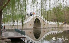 宁夏银川中山公园旅游攻略之玉带桥