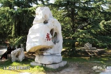臨朐老龍灣-龍石照片