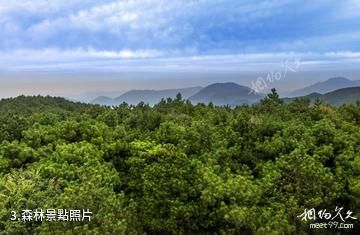 平江天岳幕阜山景區-森林照片
