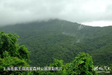 海南霸王嶺國家森林公園照片