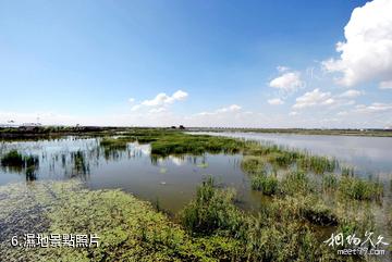 哈爾濱呼蘭河口濕地公園-濕地照片