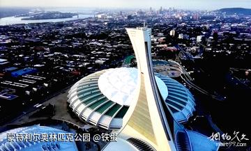 枫叶国印象01--社区公园生活