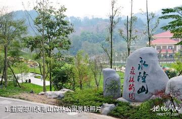 重慶南川永隆山森林公園照片