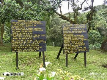 乞力马扎罗山风景区-南面低坡带照片