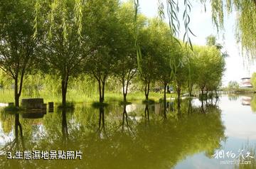 清水湖生態度假村-生態濕地照片