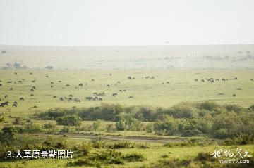肯亞馬賽馬拉國家保護區-大草原照片