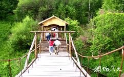 呼伦贝尔市绰源国家森林公园旅游攻略之吊桥