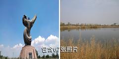 银川金水园驴友相册