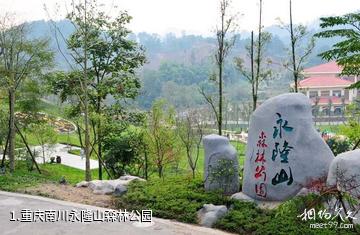 重庆南川永隆山森林公园照片