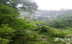 湖南壺瓶山國家級自然保護區旅遊攻略之壺瓶山