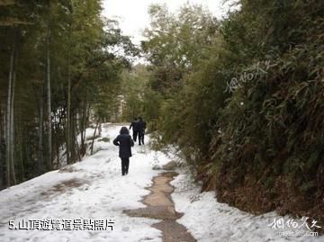 桃花江竹海旅遊區-山頂遊覽道照片