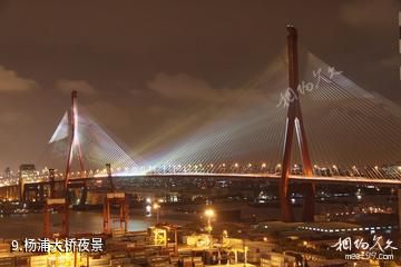 上海杨浦大桥-杨浦大桥夜景照片