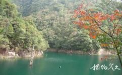 湘西鳳凰古城旅遊攻略之南華山國家森林公園