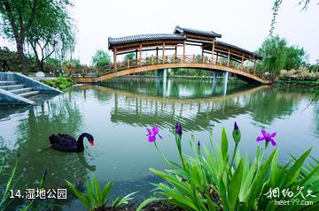 临沂兰陵国家农业公园-湿地公园照片