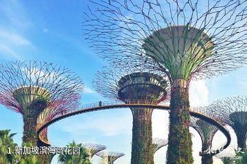 新加坡滨海湾花园照片