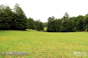 楚雄紫溪山風景區-森林公園照片
