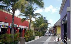 墨西哥科苏梅尔岛旅游攻略之街道