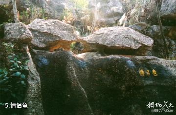 绵阳罗浮山白水湖风景区-情侣龟照片