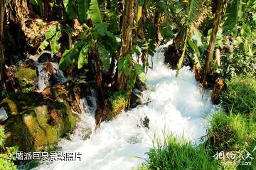 騰衝荷花壩派景區-壩派巨泉照片