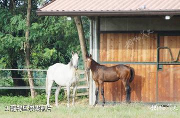 鄂州杏福園旅遊區-寵物區照片