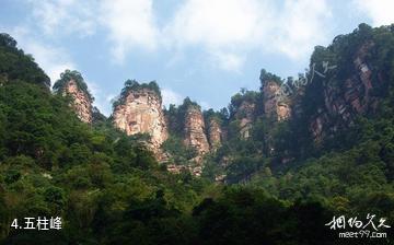 赤水风景区-五柱峰照片