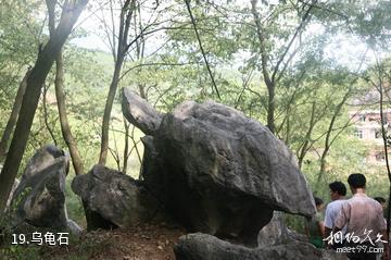 湖南天堂山国家森林公园-乌龟石照片