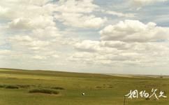 興安蒙古包旅遊村旅遊攻略之草原