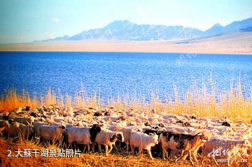 阿克塞蘇干湖候鳥自然保護區-大蘇干湖照片