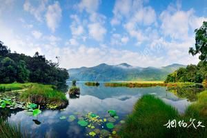 雲南普洱西盟旅遊景點大全