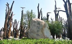 安徽五千年文博园旅游攻略之国际诗林