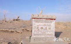 新疆和田尼雅遺址旅遊攻略之尼雅遺址