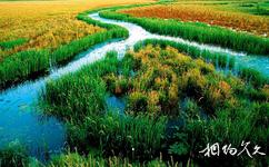 江西鄱陽湖旅遊攻略之鄱陽湖國家濕地公園