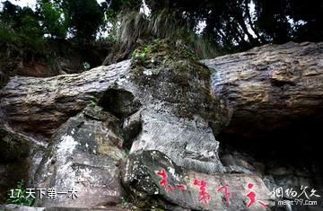 遂宁中华侏罗纪公园-天下第一木照片
