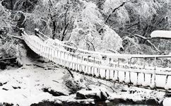 雅安東拉山大峽谷旅遊攻略之冬季景色