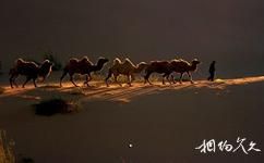 赤峰市布日敦沙漠旅游攻略之驼队