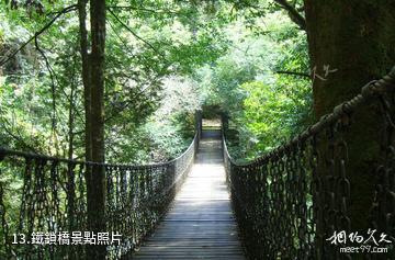 楚雄紫溪山風景區-鐵鎖橋照片